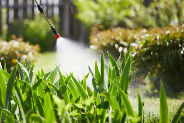 24/7 Emergency Mosquito Control experts in Newville, PA
